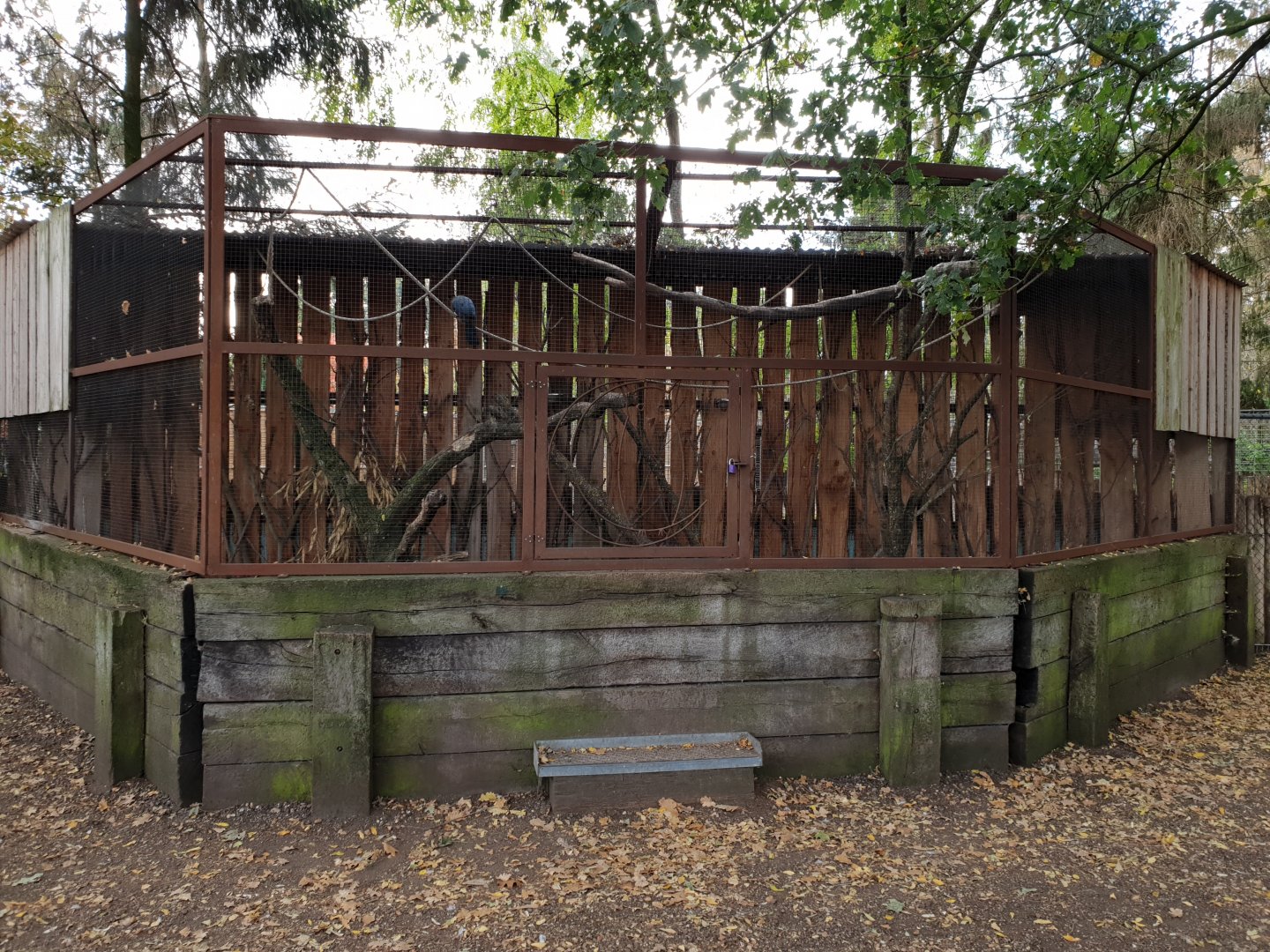 Touraco - Pheasant aviary