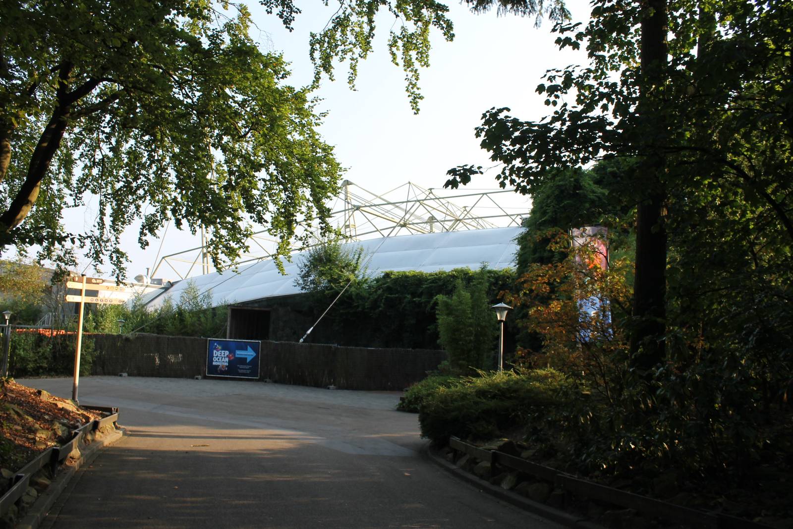 Toward Burger's Bush