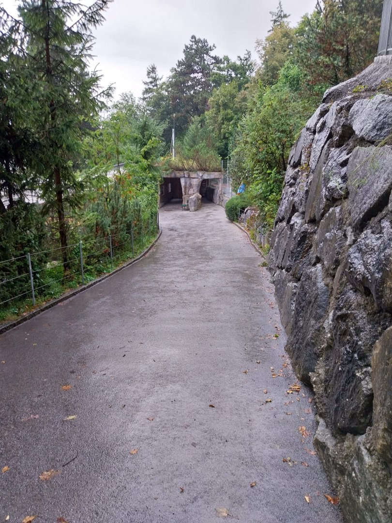 Towards the aviaries for rock ptarmigan and Alpine rock partridge