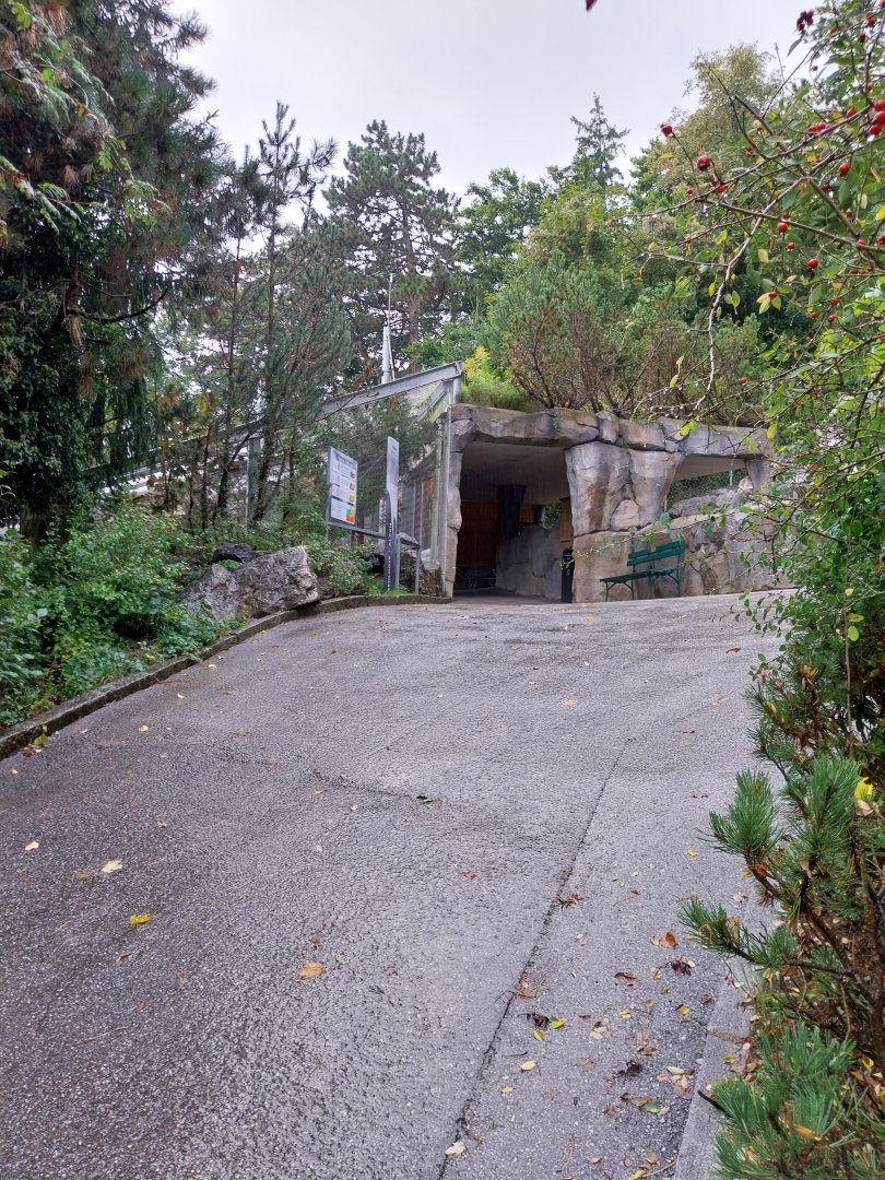 Towards the aviaries for rock ptarmigan and Alpine rock partridge