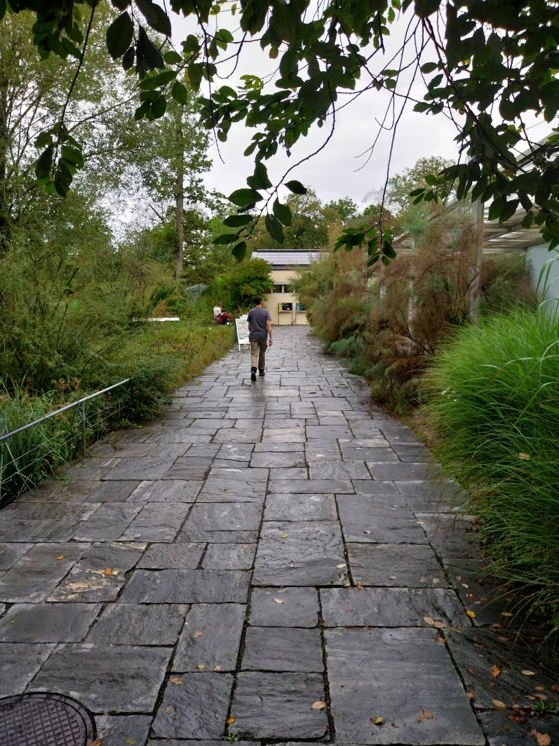 Towards the vivarium