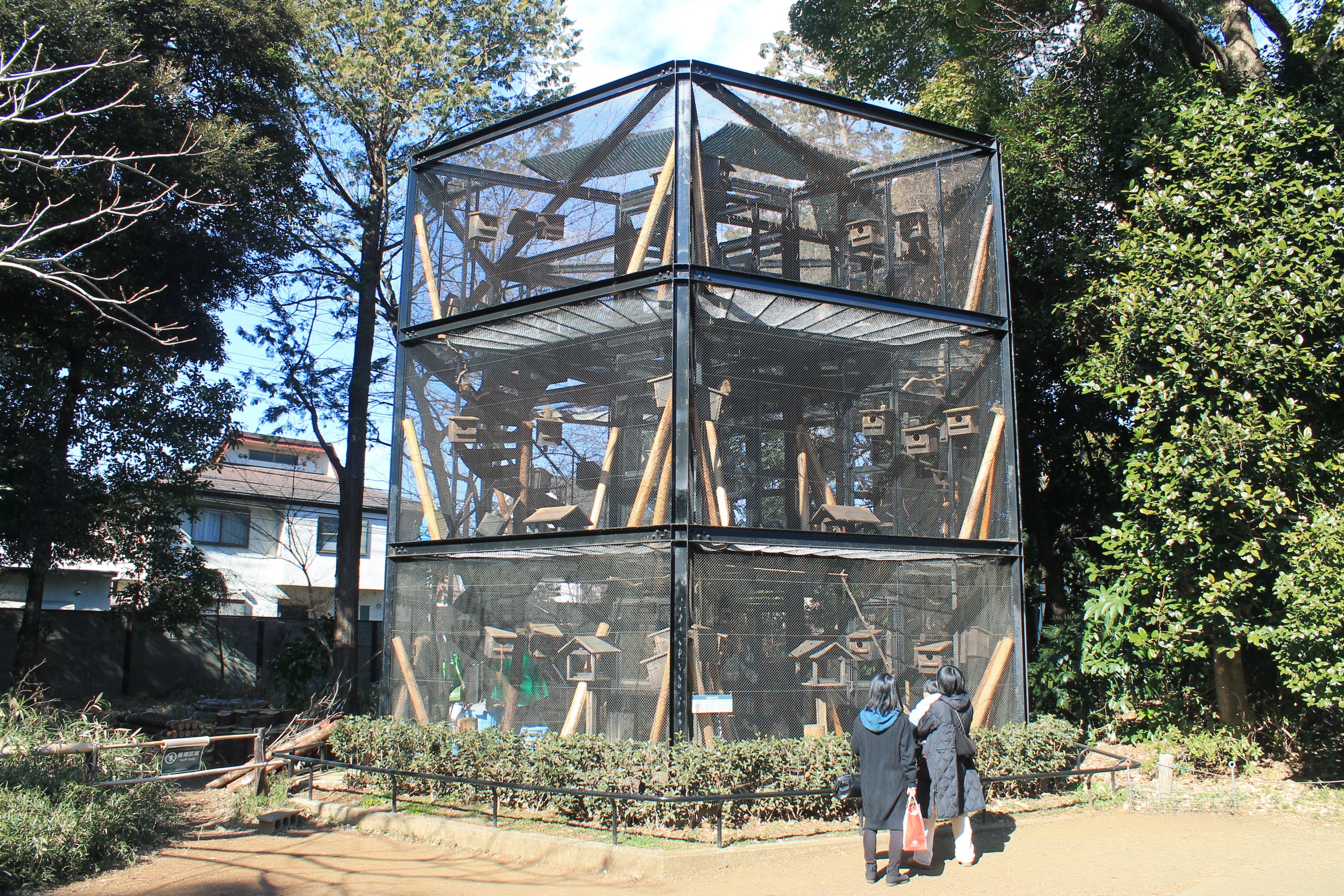 tower cage for Japanese Squirrels