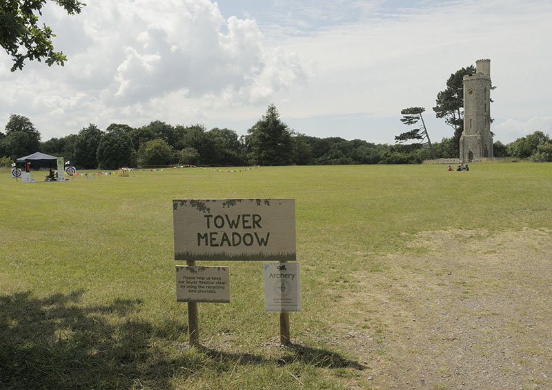 Tower Meadow