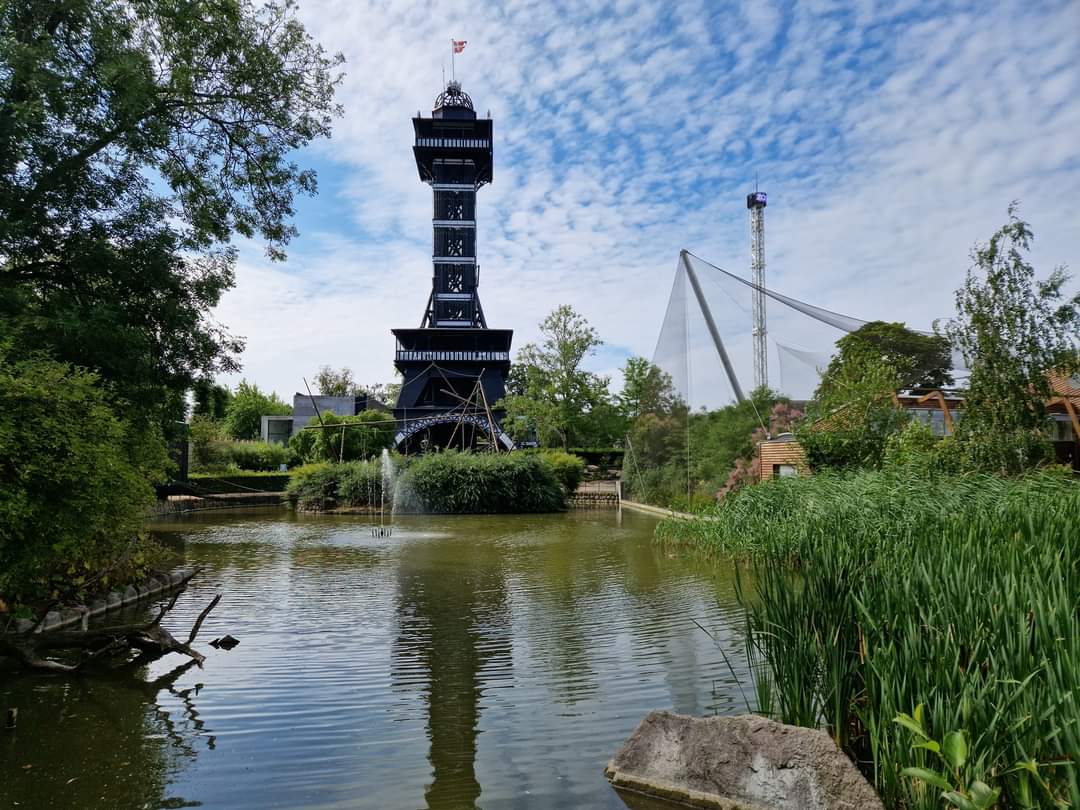 Tower/Squirrel monkey Island/Flammingo Aviary
