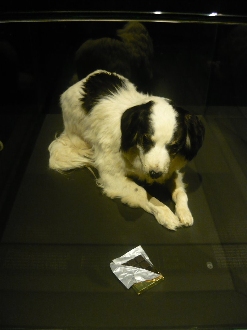 Toxicity (Poison exhibition)