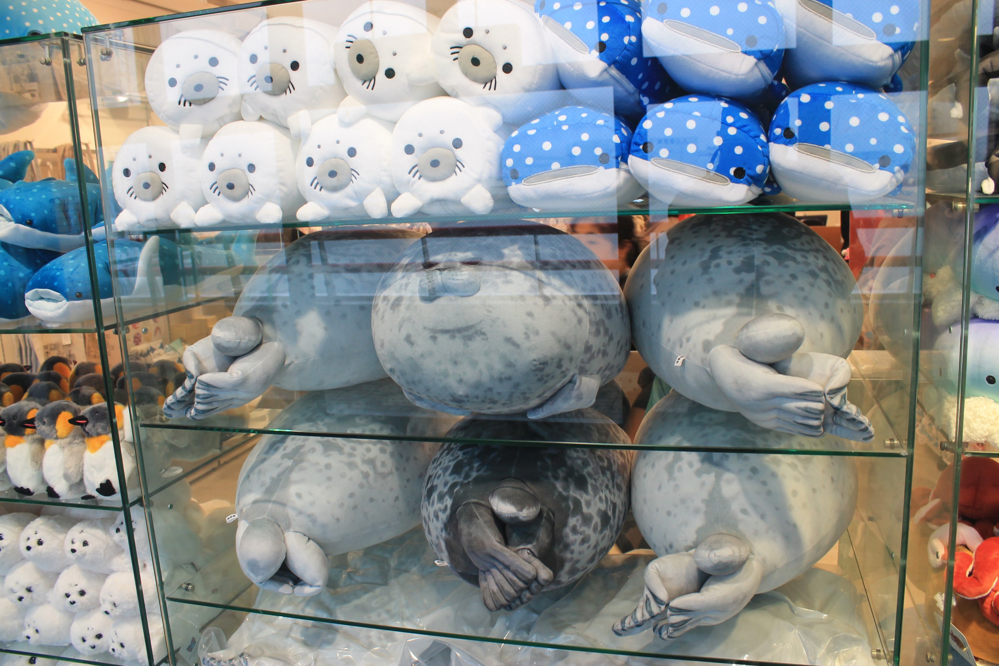 Toy seal merchandise