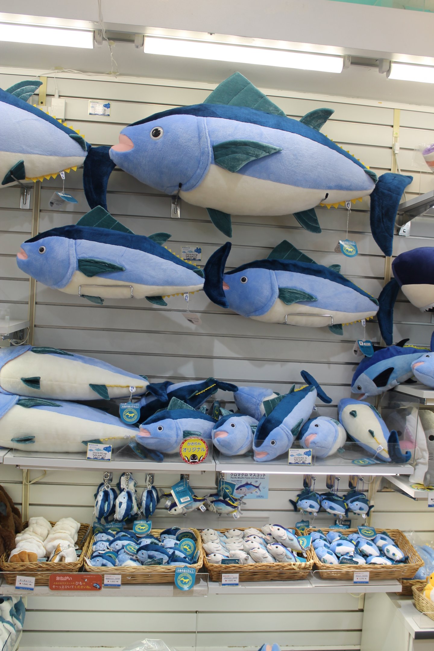 Toy tuna in gift shop
