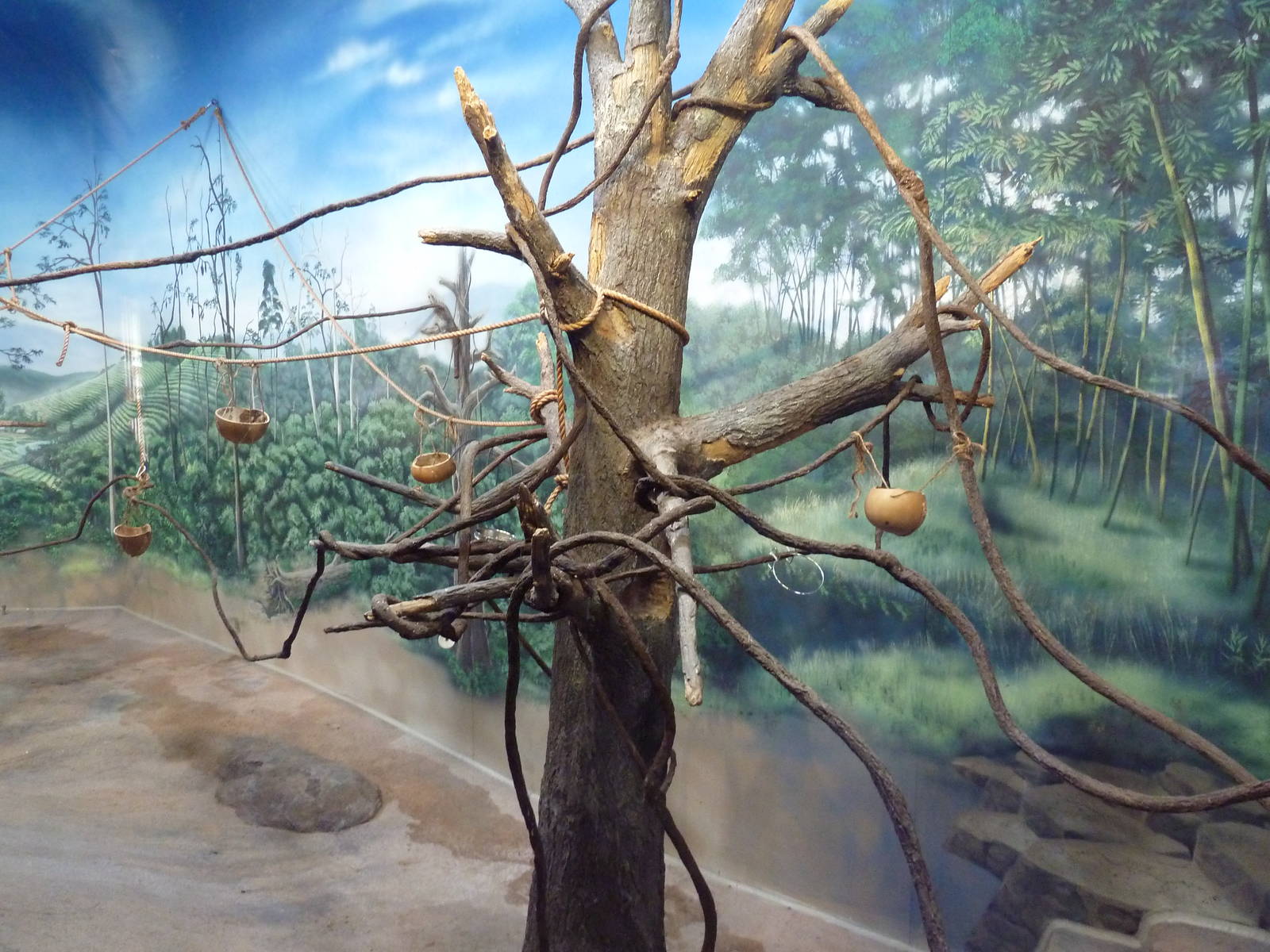 Toyota Elephant Passage - Bat Exhibit