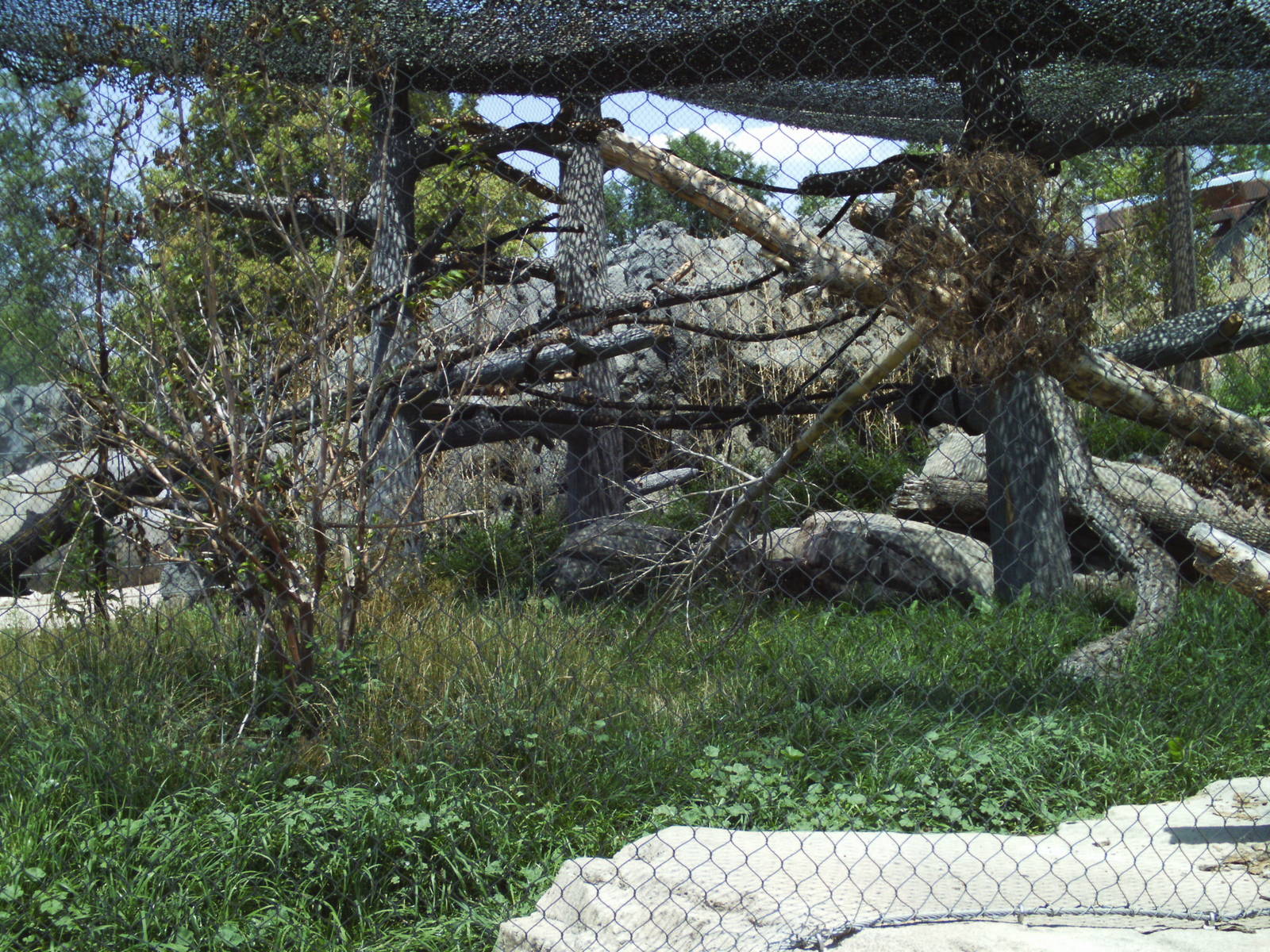 toyota elephant passage- clouded leopard exhibit
