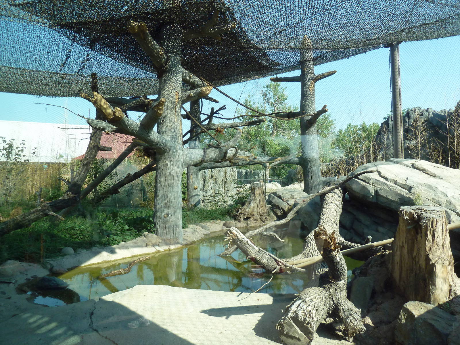 Toyota Elephant Passage - Clouded Leopard Exhibit