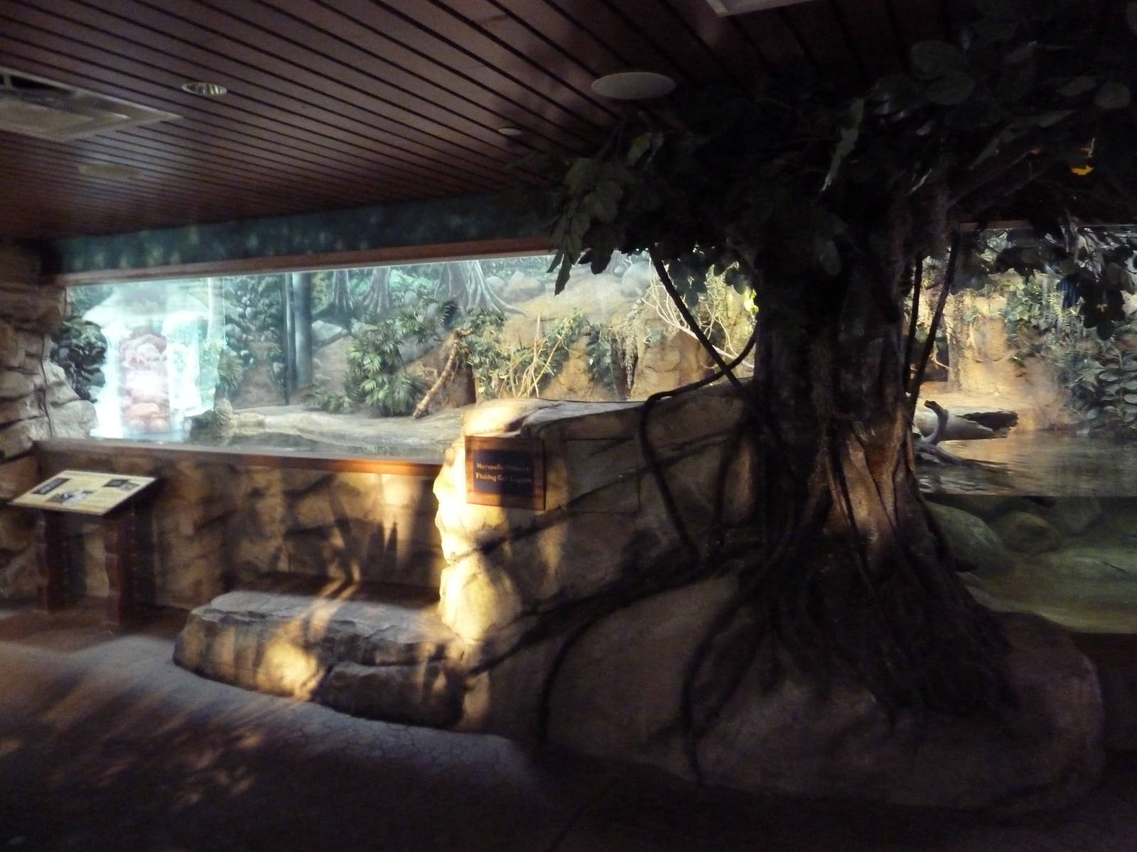 Toyota Elephant Passage - Fishing Cat Exhibit