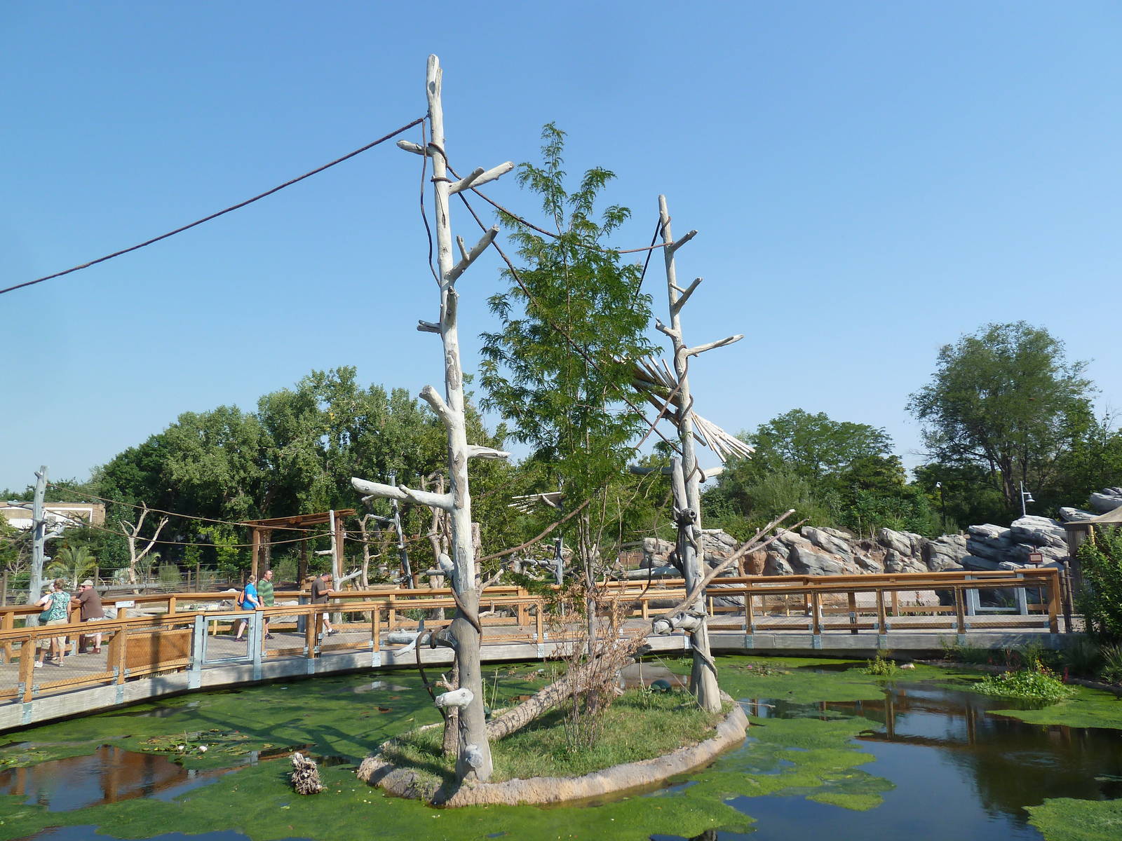 Toyota Elephant Passage - Gibbon Island