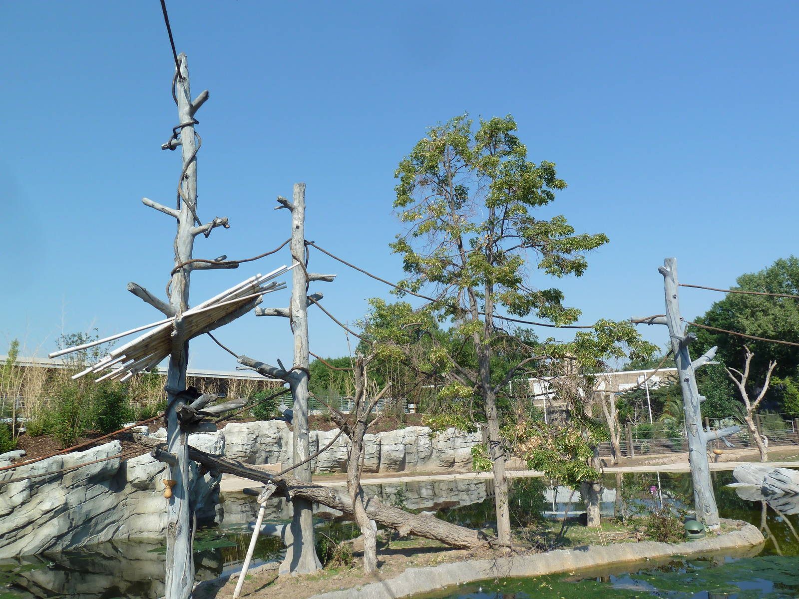 Toyota Elephant Passage - Gibbon Island