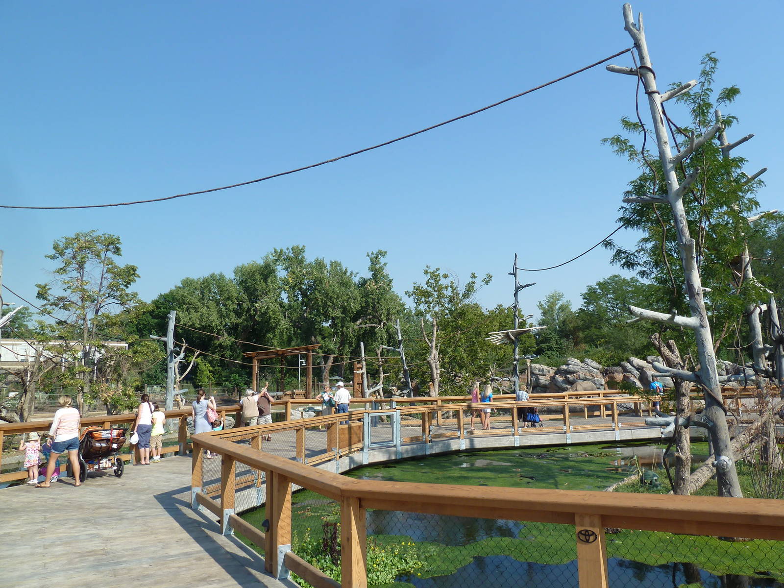 Toyota Elephant Passage - Gibbon Islands