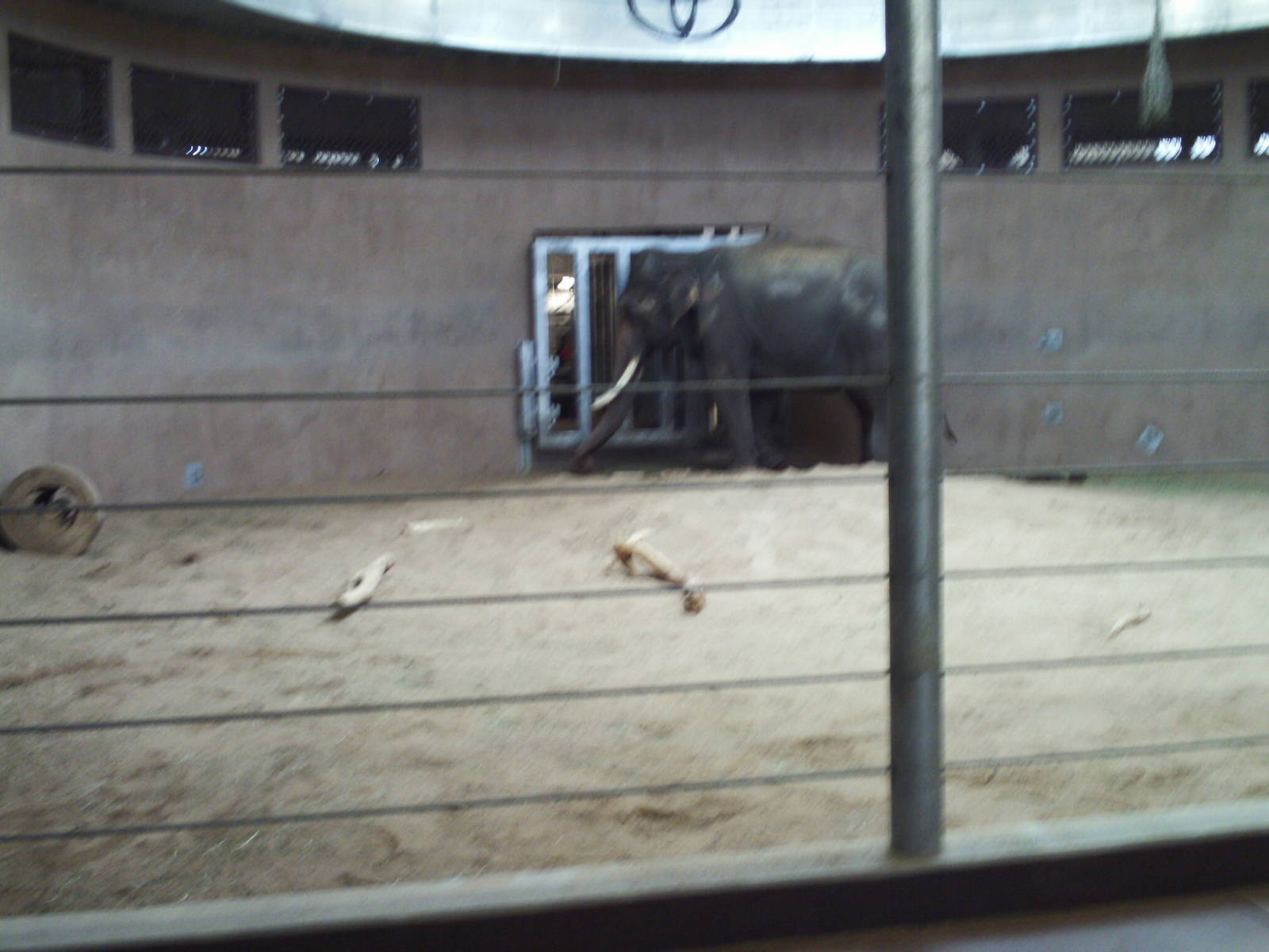 toyota elephant passage- indoor elephant exhibit