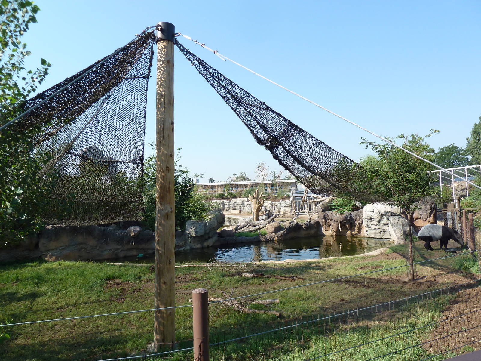 Toyota Elephant Passage - Malayan Tapir Exhibit