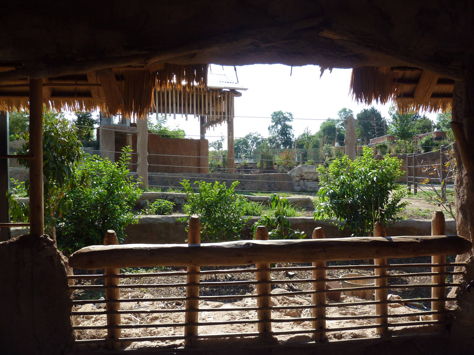 Toyota Elephant Passage - Rotational Exhibit (Granary Viewing)