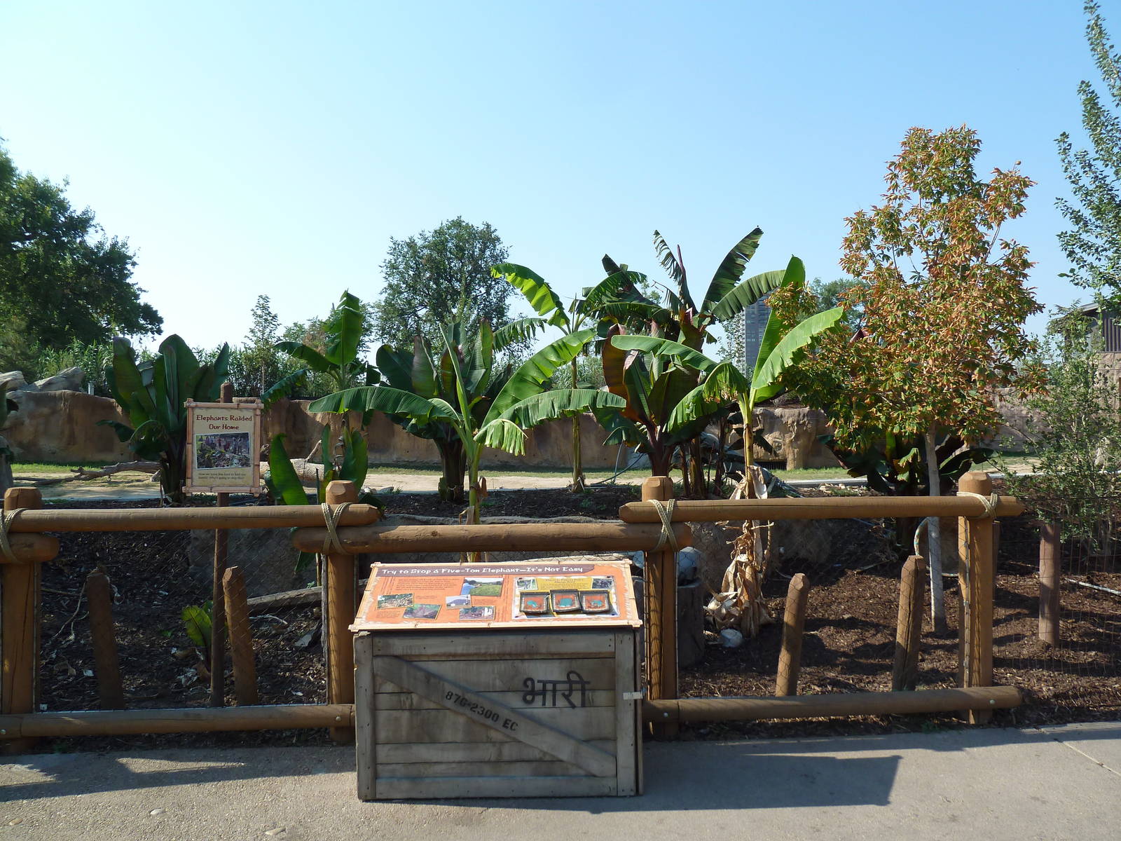 Toyota Elephant Passage - Rotational Exhibit Viewing Area