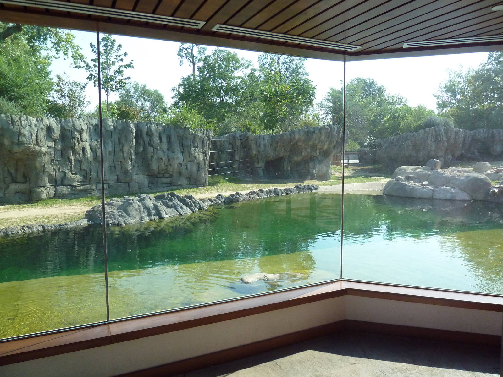 Toyota Elephant Passage - Rotational Exhibit