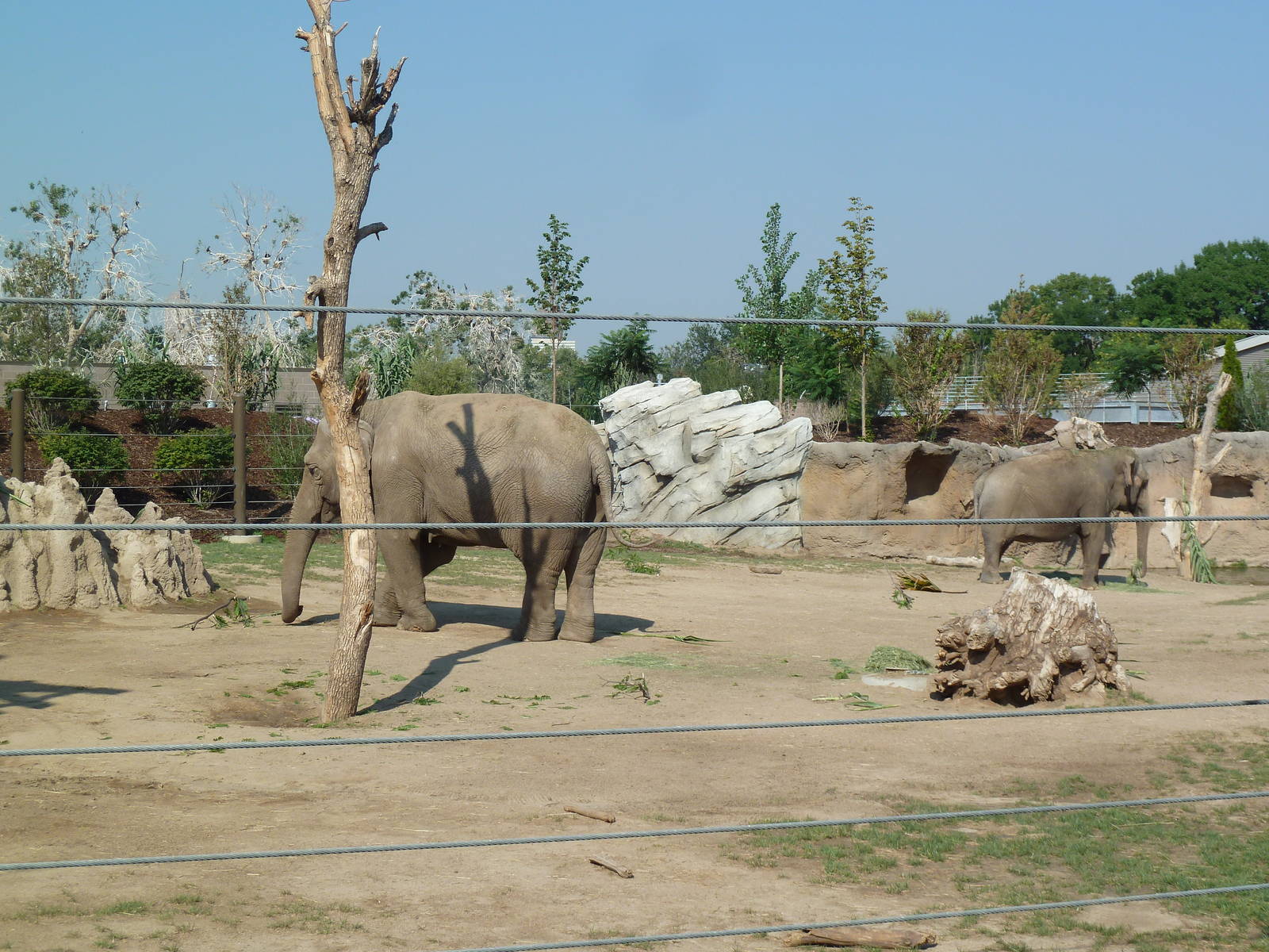 Toyota Elephant Passage - Rotational Exhibit