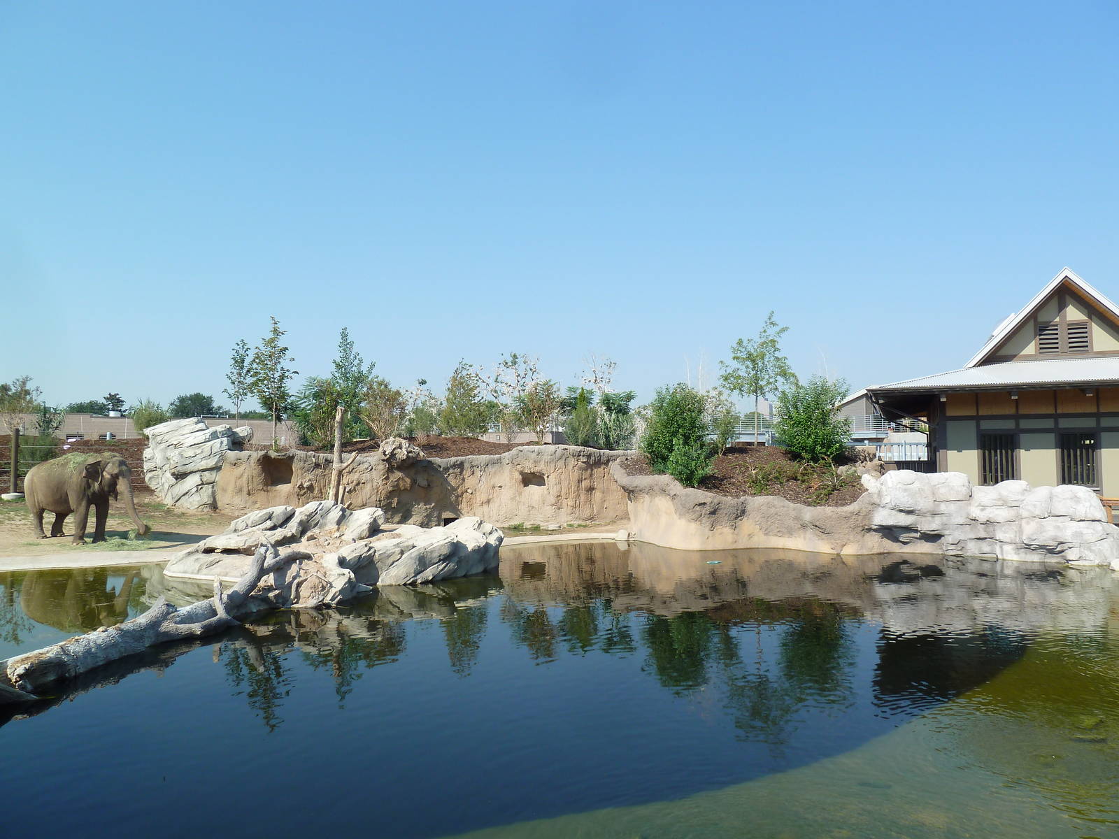 Toyota Elephant Passage - Rotational Exhibit
