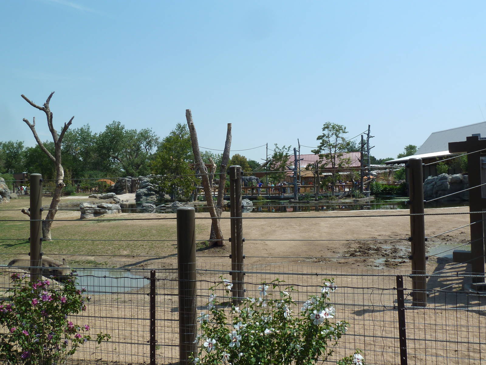 Toyota Elephant Passage - Rotational Exhibit