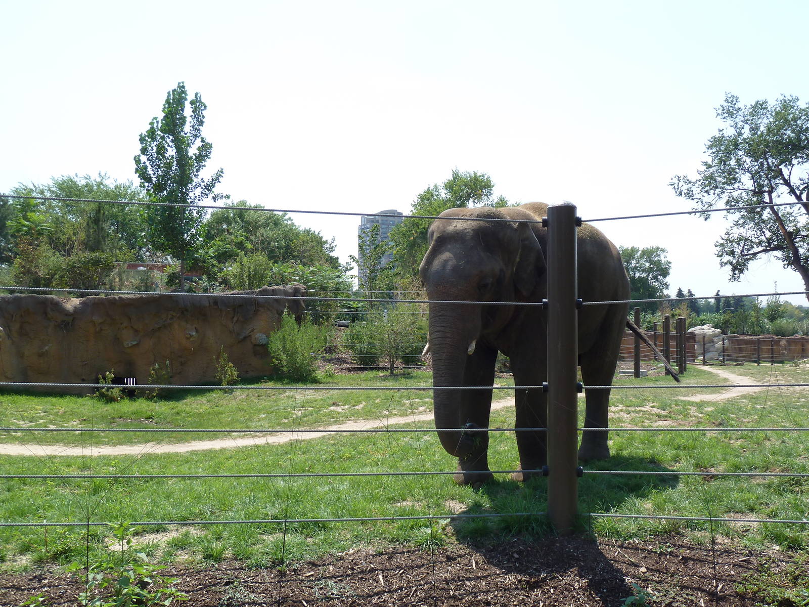 Toyota Elephant Passage - Rotational Exhibit