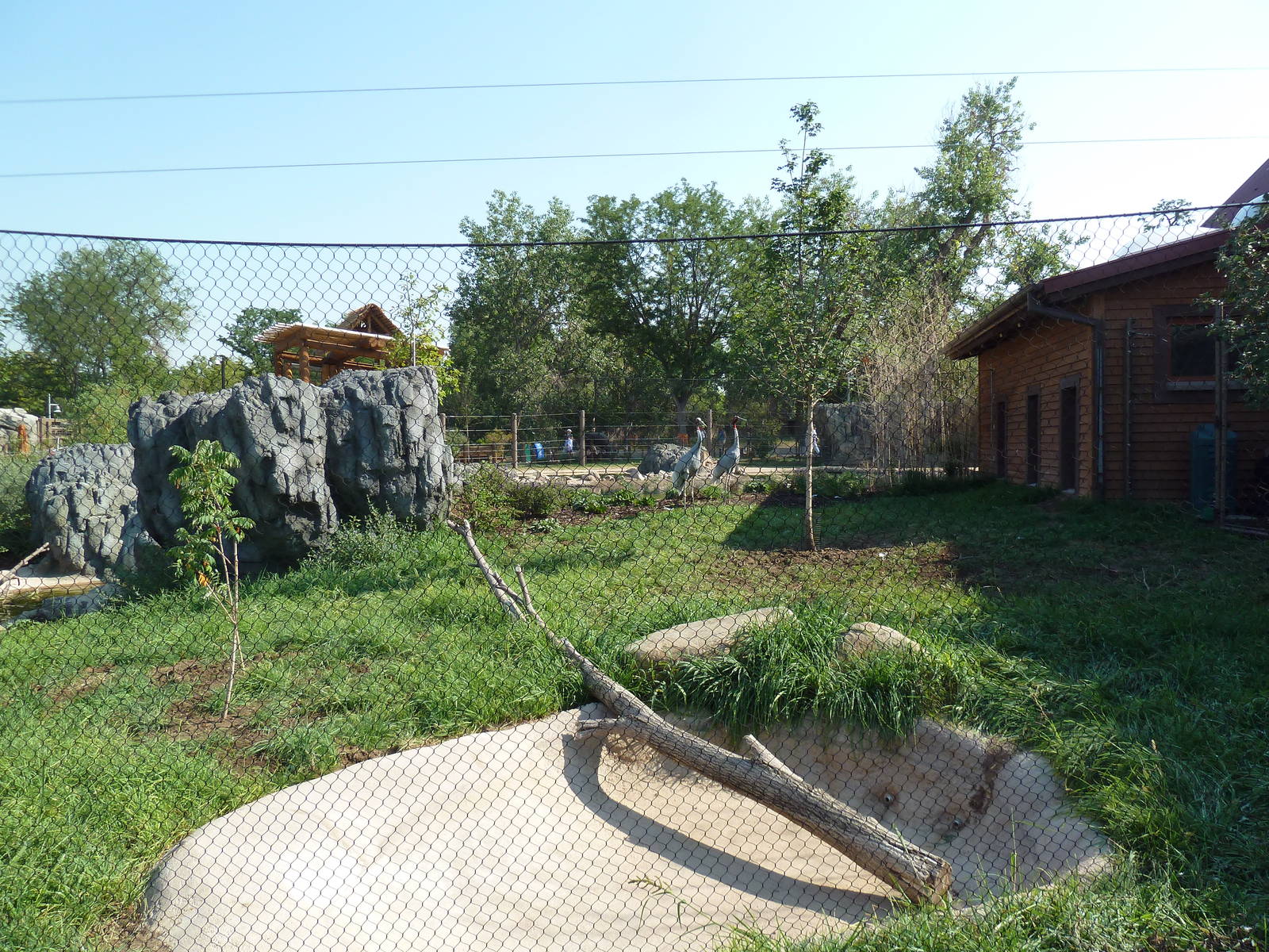 Toyota Elephant Passage - Sarus Crane Exhibit