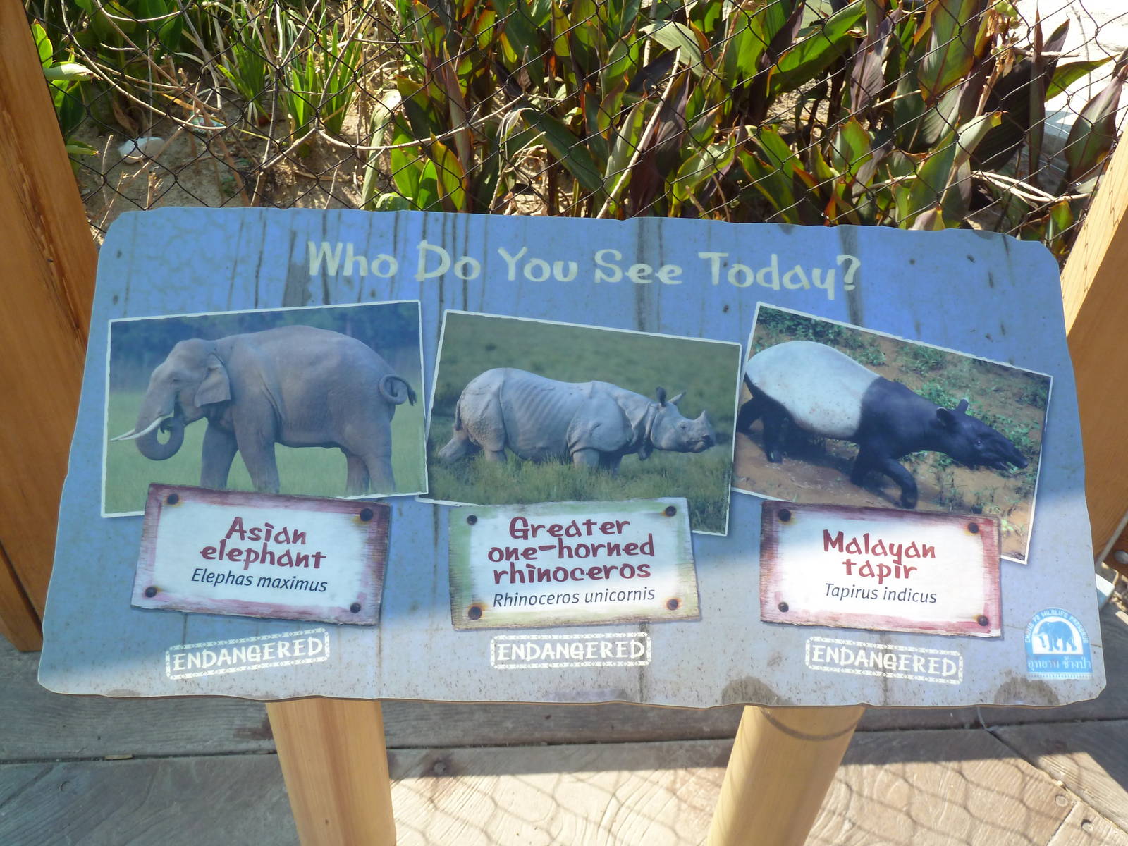 Toyota Elephant Passage - Sign