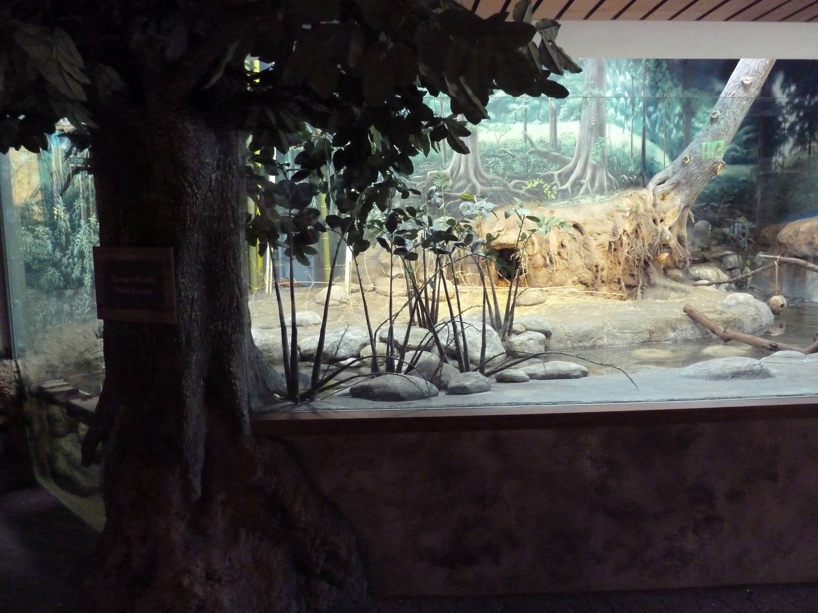 Toyota Elephant Passage - Small-Clawed Otter Exhibit
