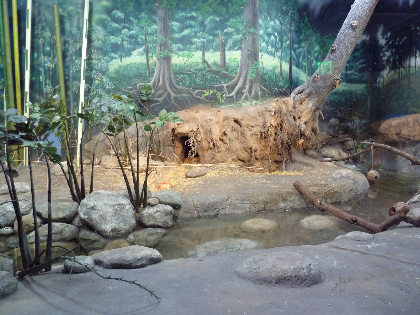 Toyota Elephant Passage - Small-Clawed Otter Exhibit