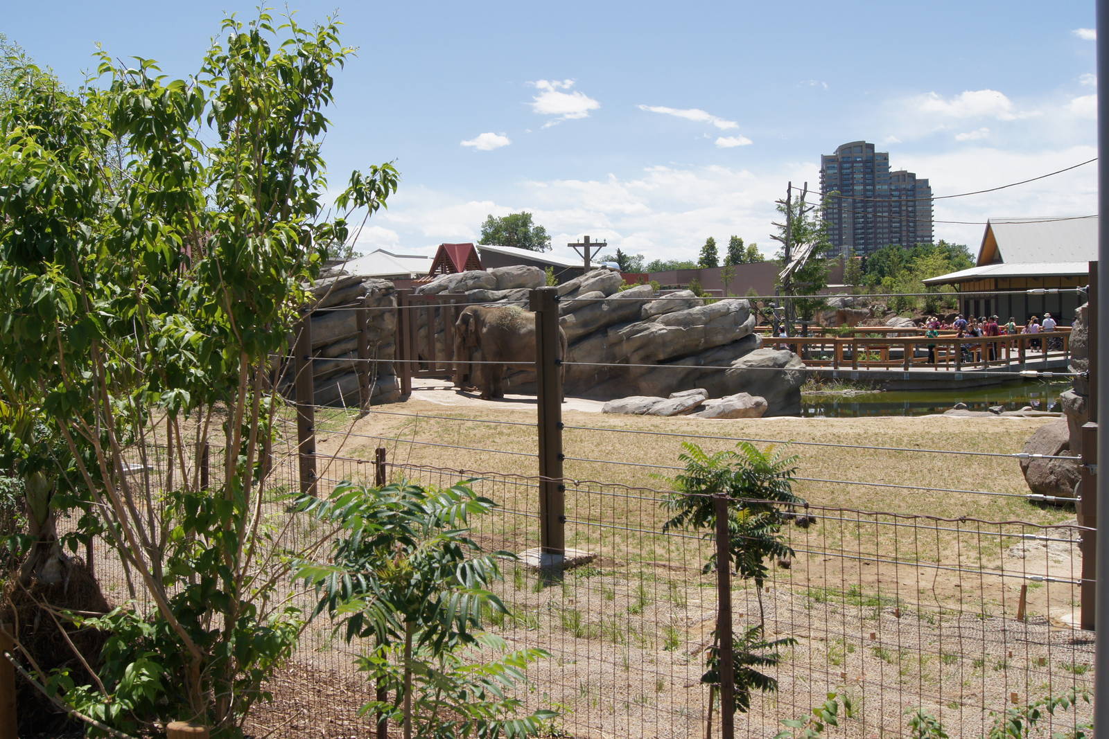 Toyota Elephant Passage