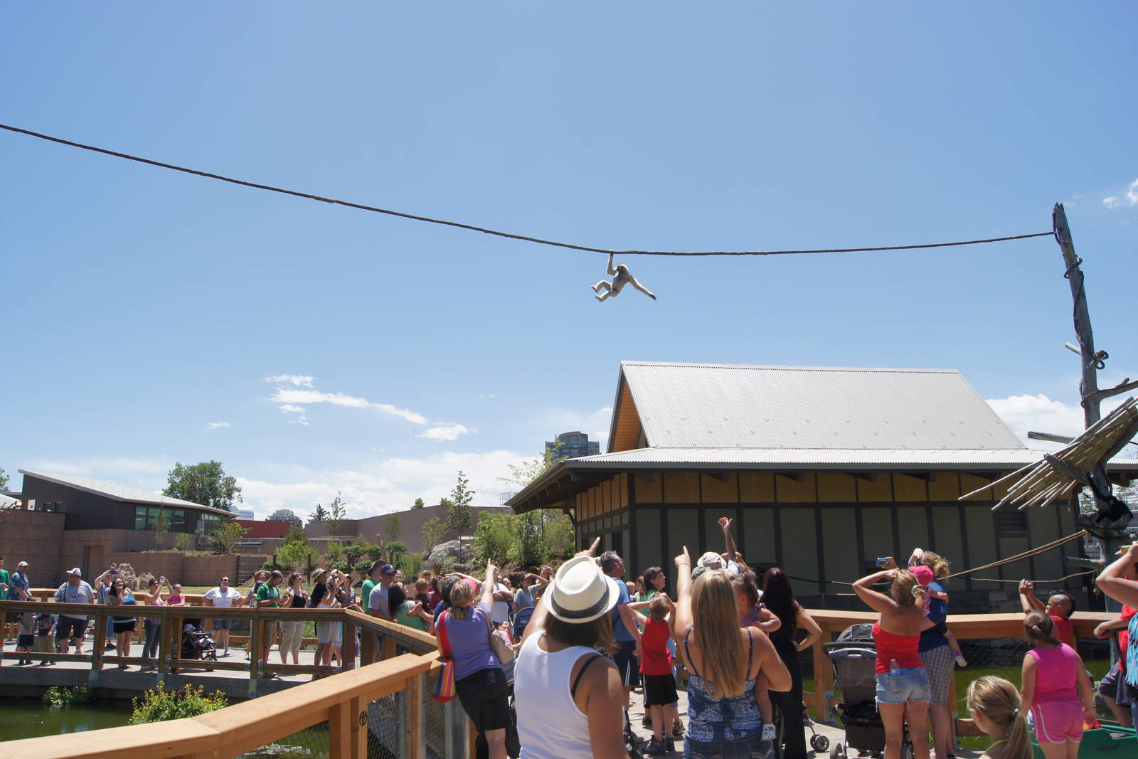 Toyota Elephant Passage