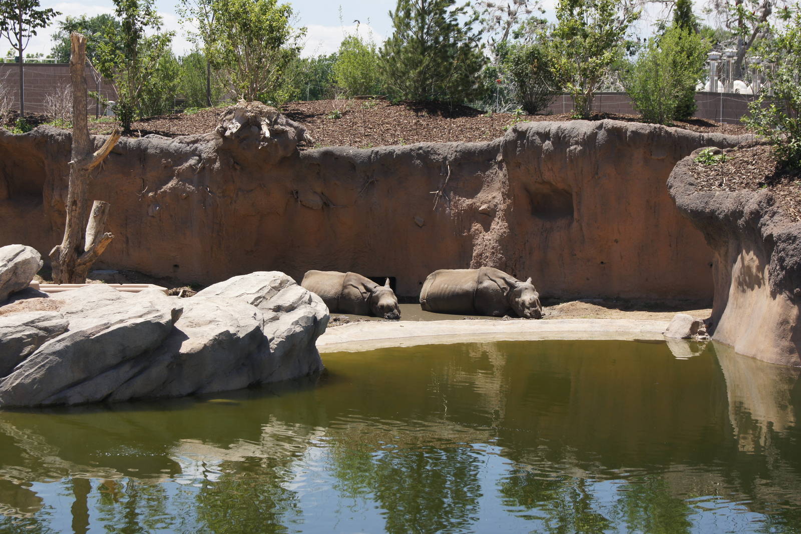 Toyota Elephant Passage