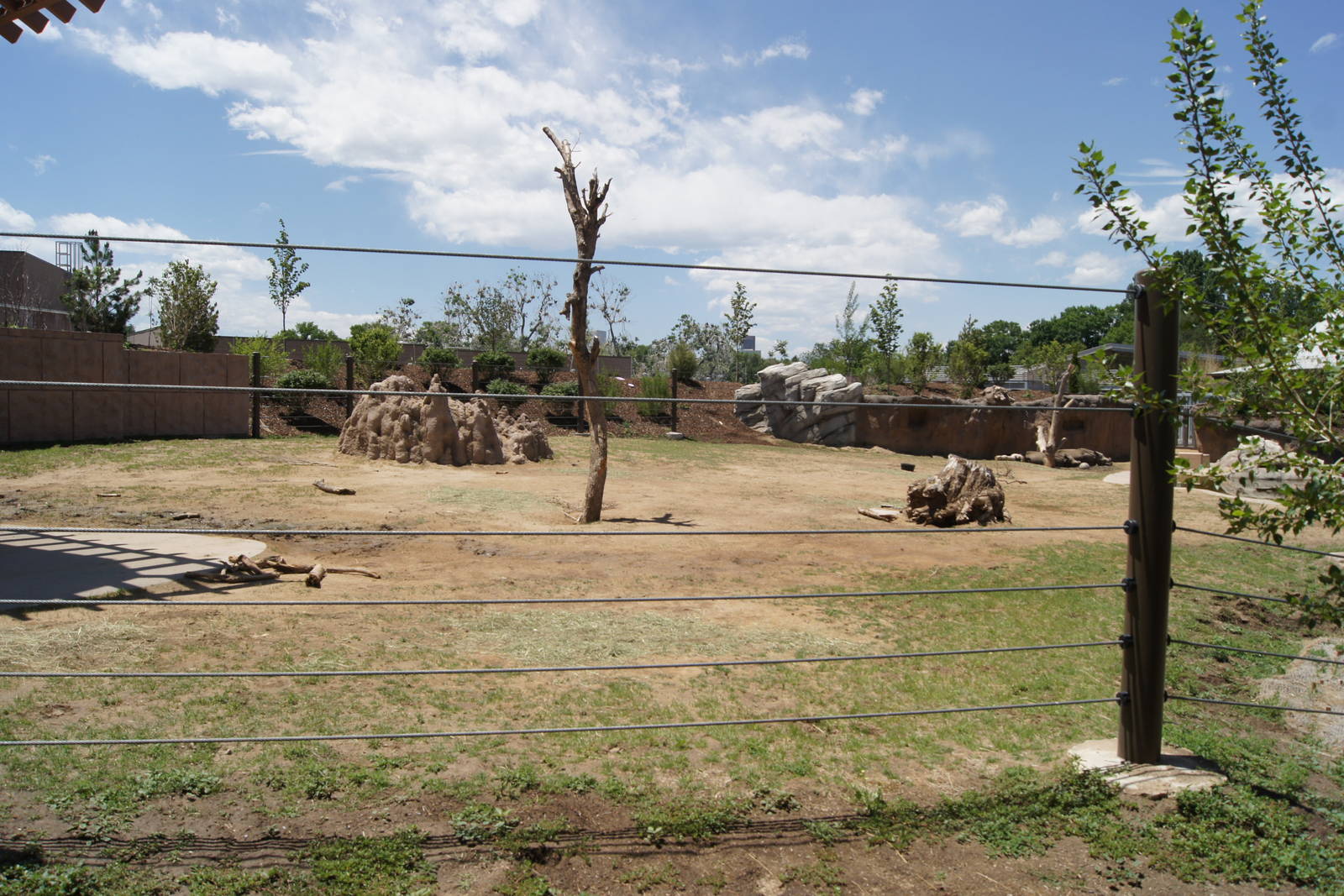 Toyota Elephant Passage