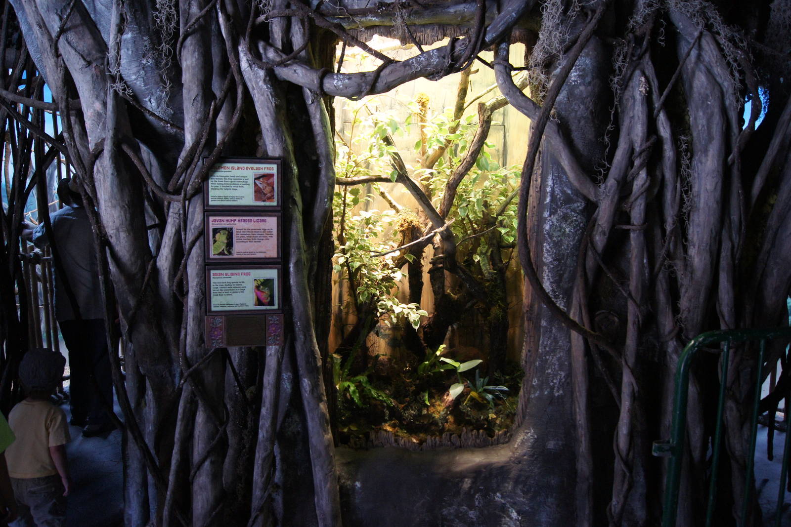 Toyota Elephant Passage