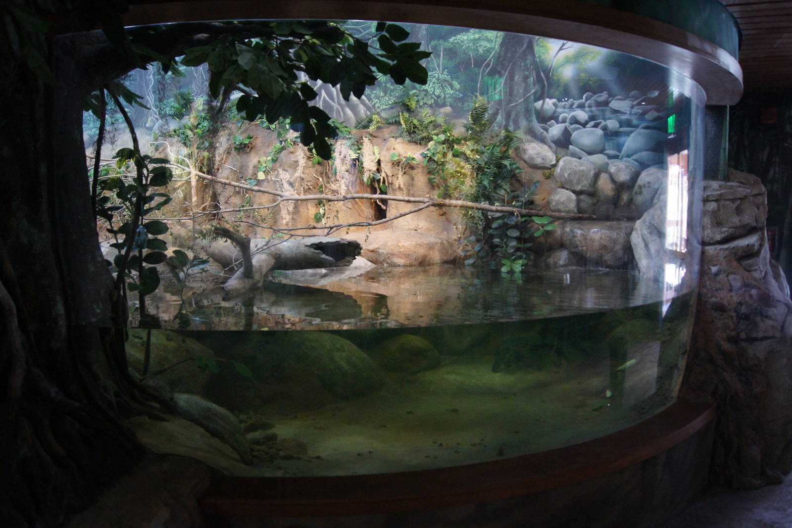 Toyota Elephant Passage