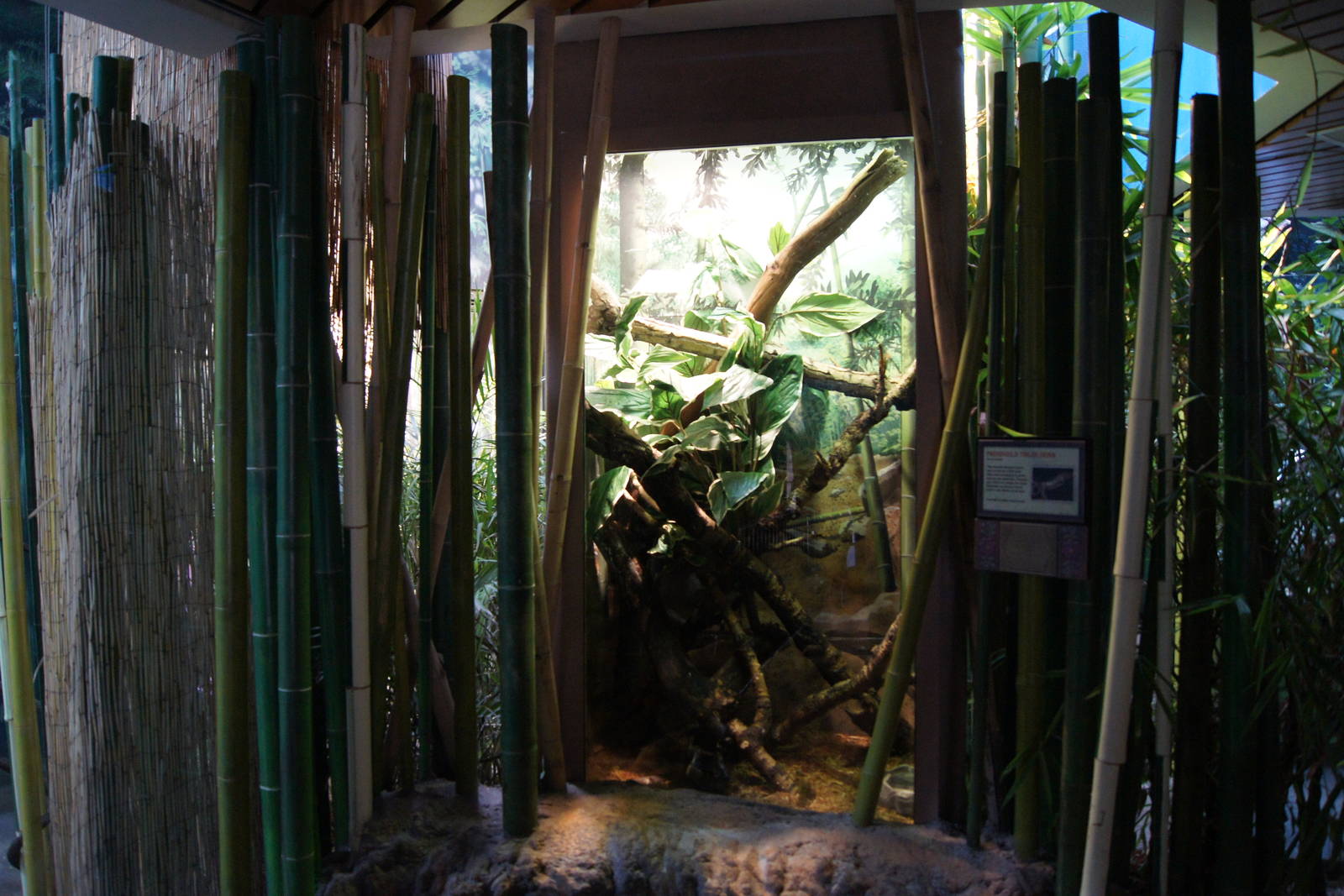 Toyota Elephant Passage