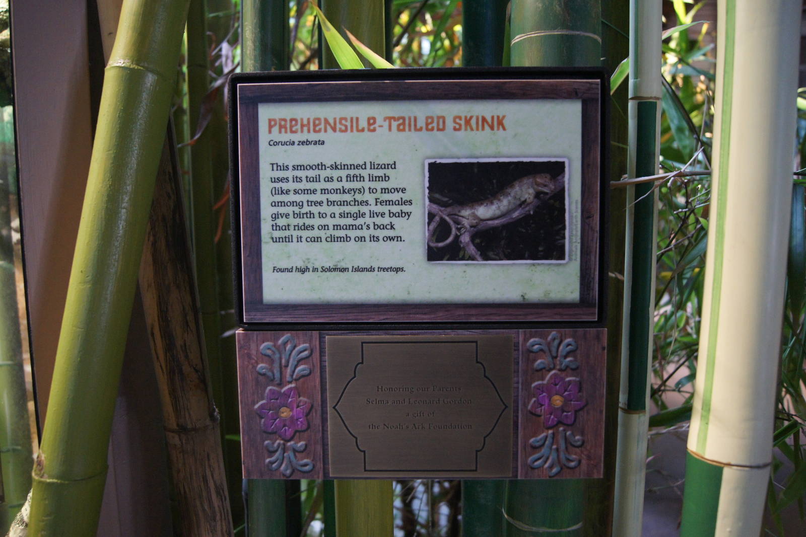 Toyota Elephant Passage