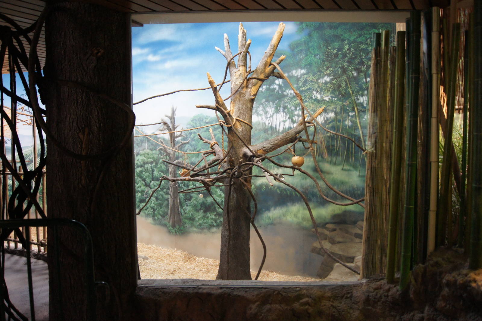 Toyota Elephant Passage