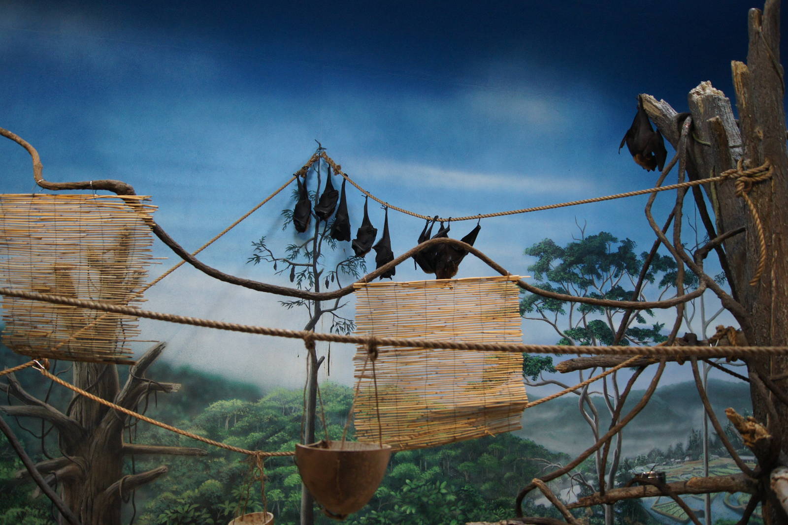 Toyota Elephant Passage