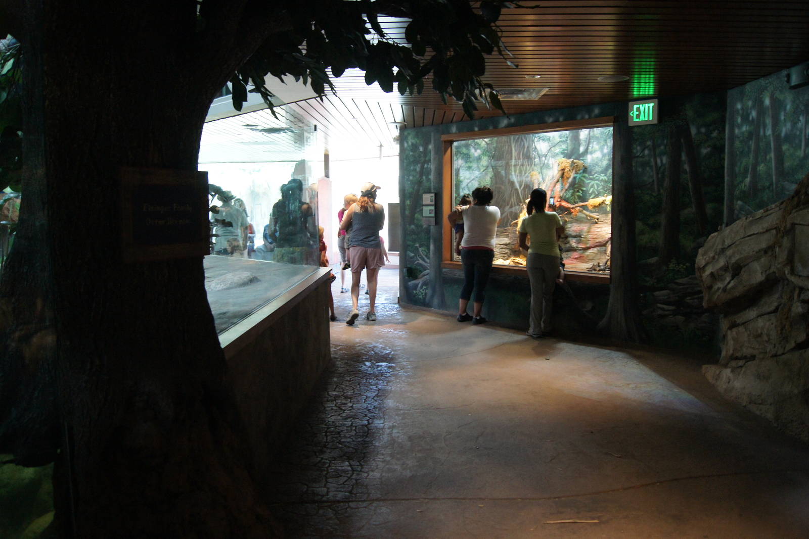 Toyota Elephant Passage