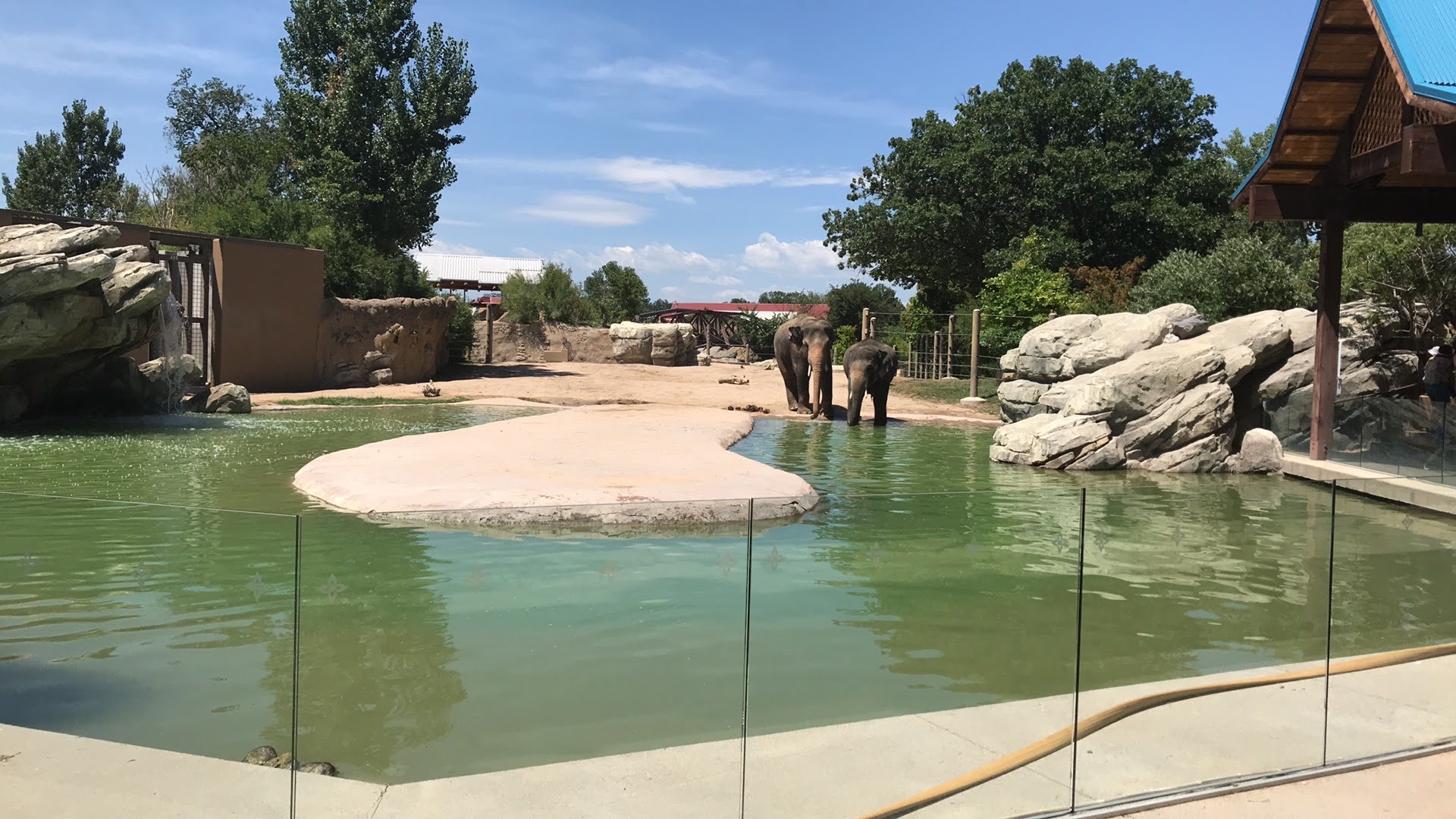 Toyota Elephant Passage