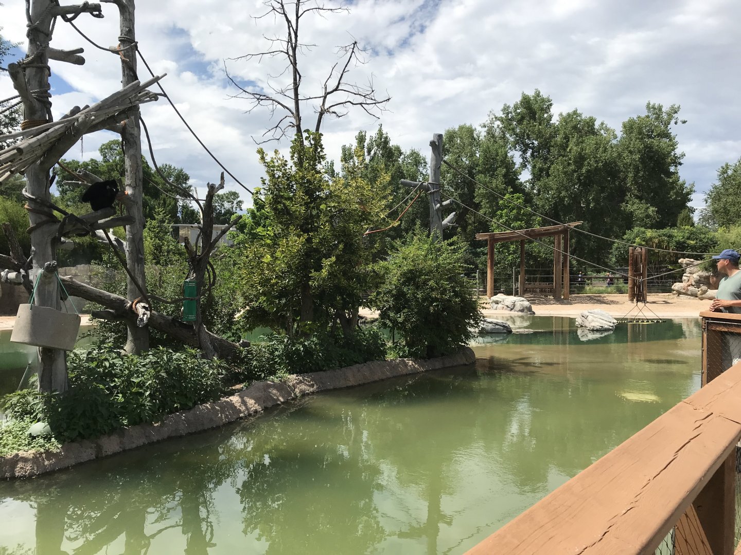 Toyota Elephant Passage