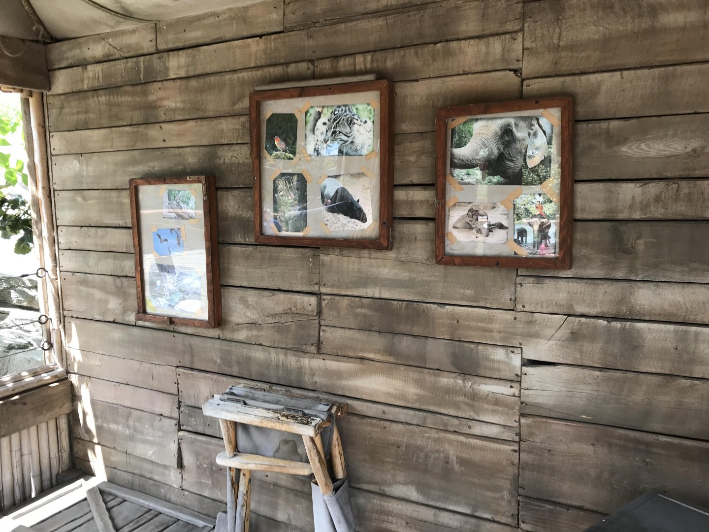 Toyota Elephant Passage