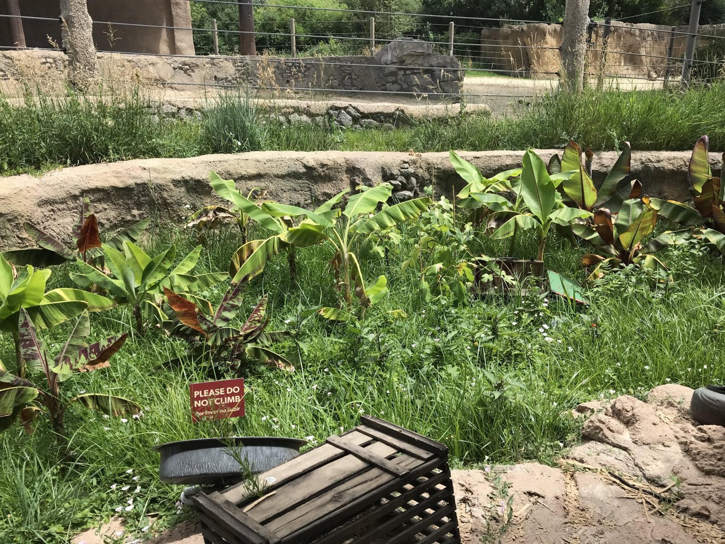 Toyota Elephant Passage