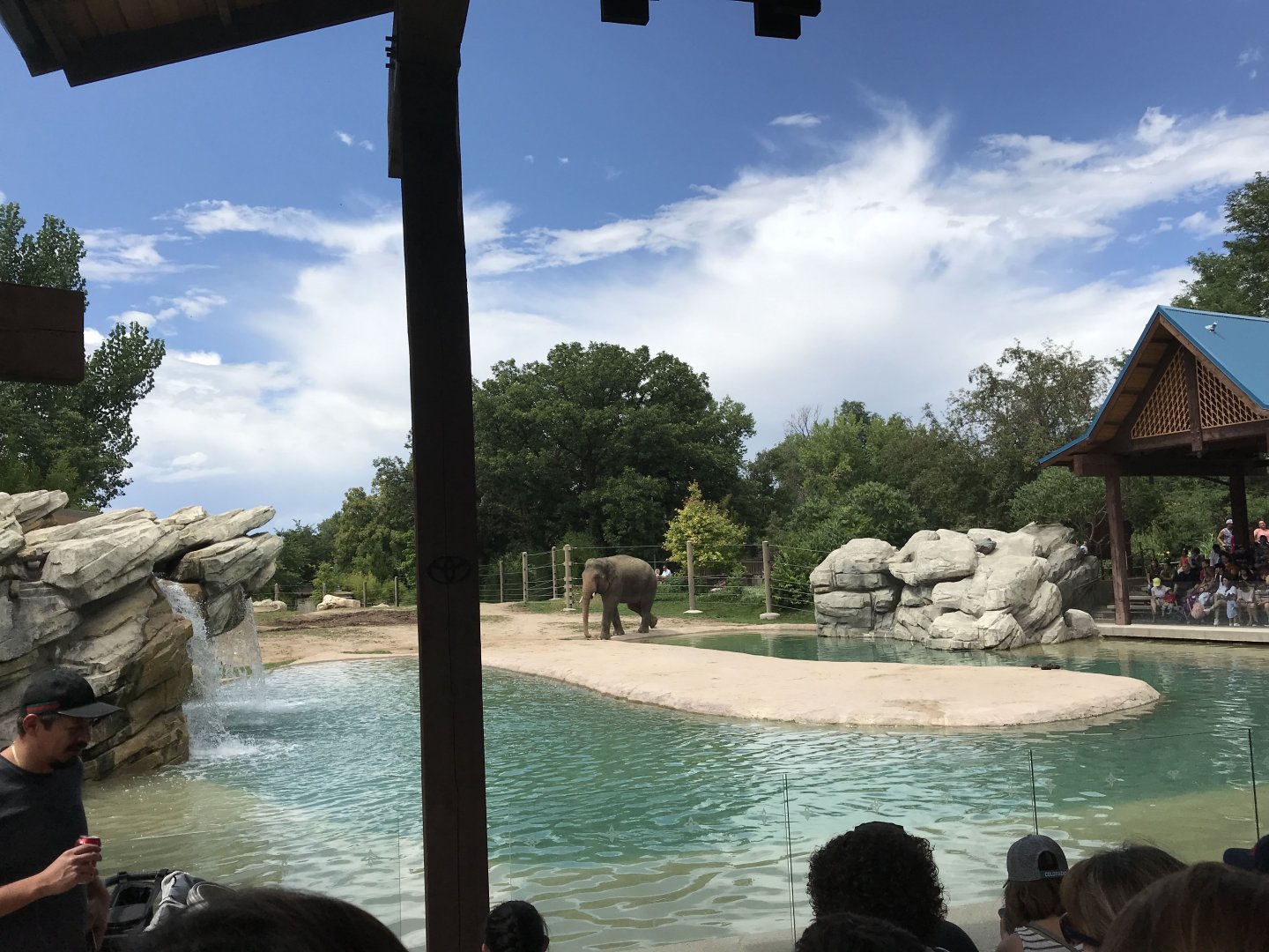 Toyota Elephant Passage