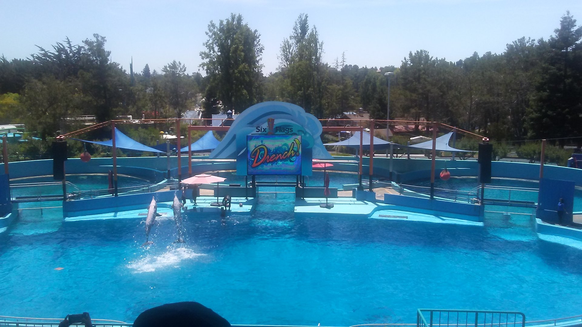 Toyota Stadium (dolphin show)