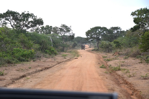 Track through Bundala PK