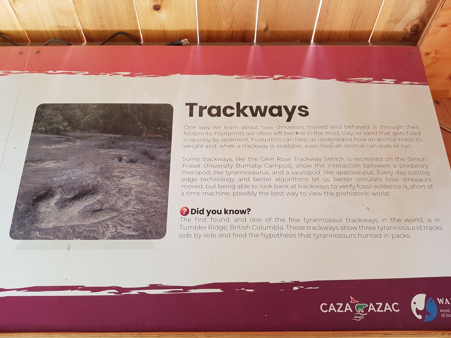 Trackways Sign